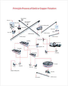 Principle Process of Gold or Copper Flotation