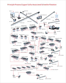 Principle Process of Copper Sufur Associated Scheelite Flotation