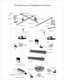 Principle Process of Molybdenum Flotation